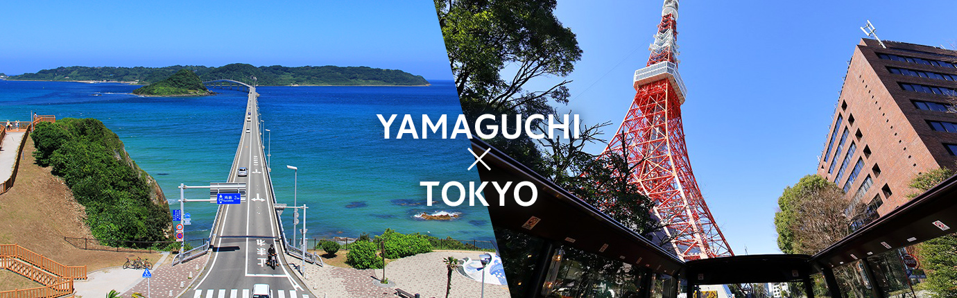 YAMAGUCHI x TOKYO