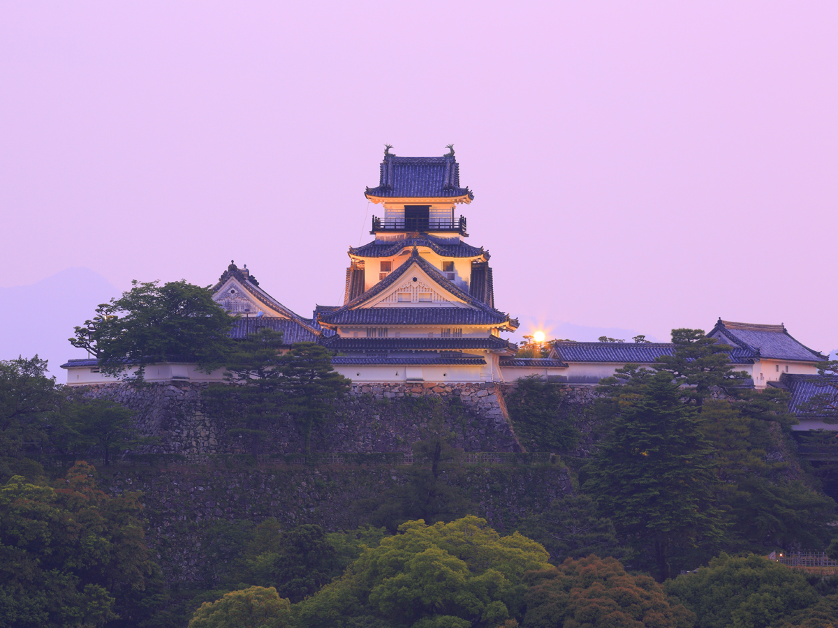 Kochi Castle_4