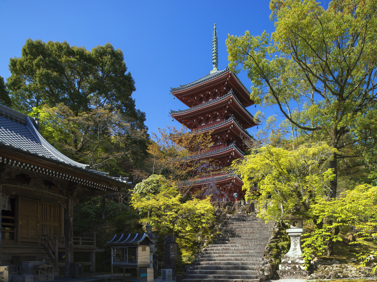 Chikurin-ji Temple_1