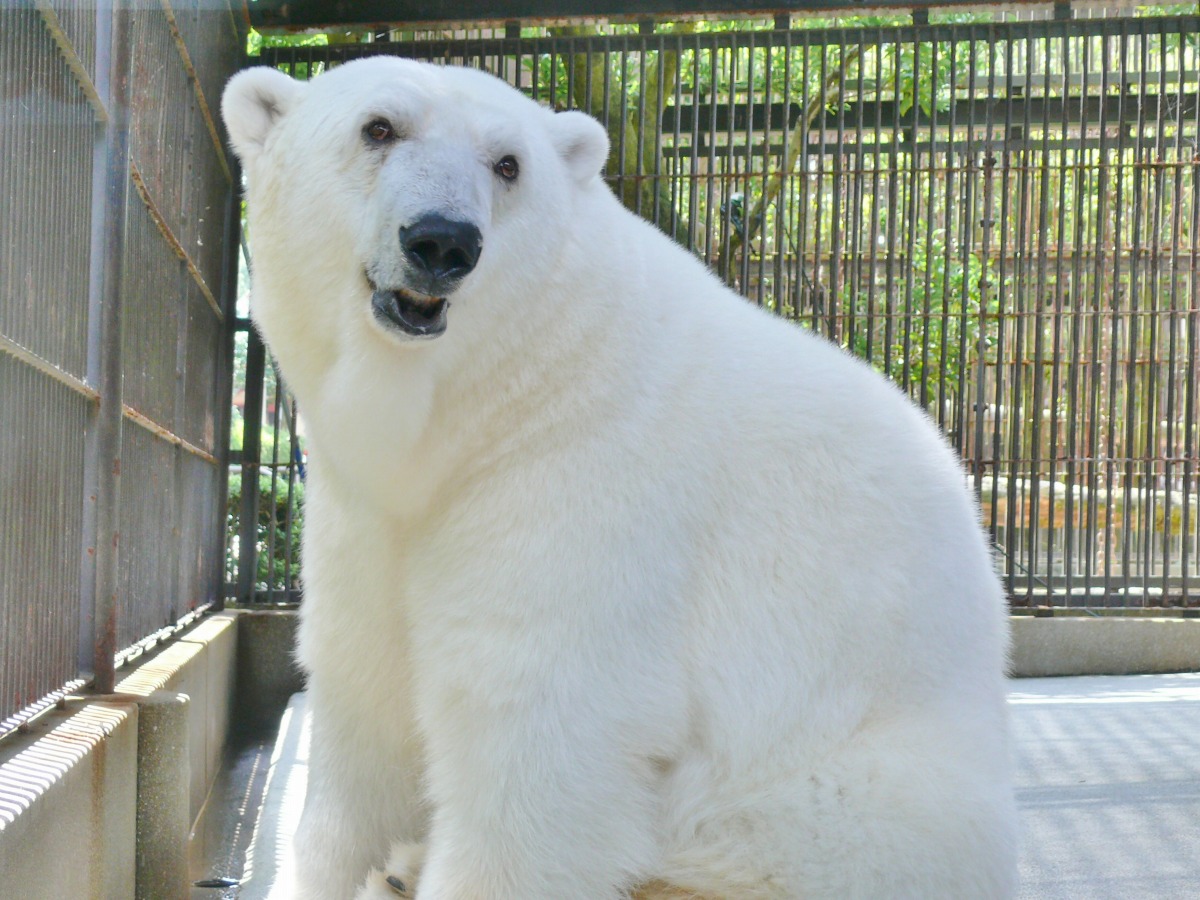 Tobe Zoological Park_1
