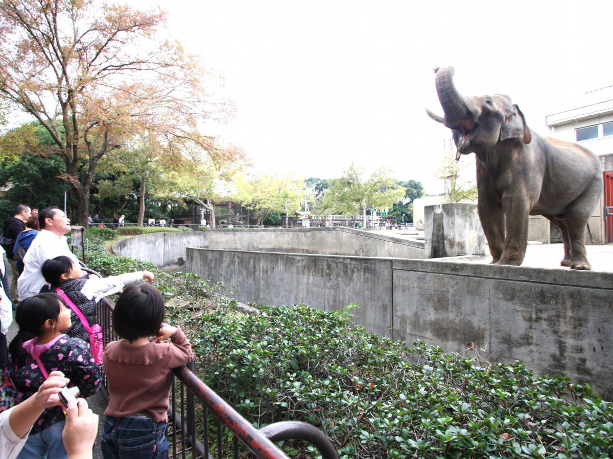 Tobe Zoological Park_3