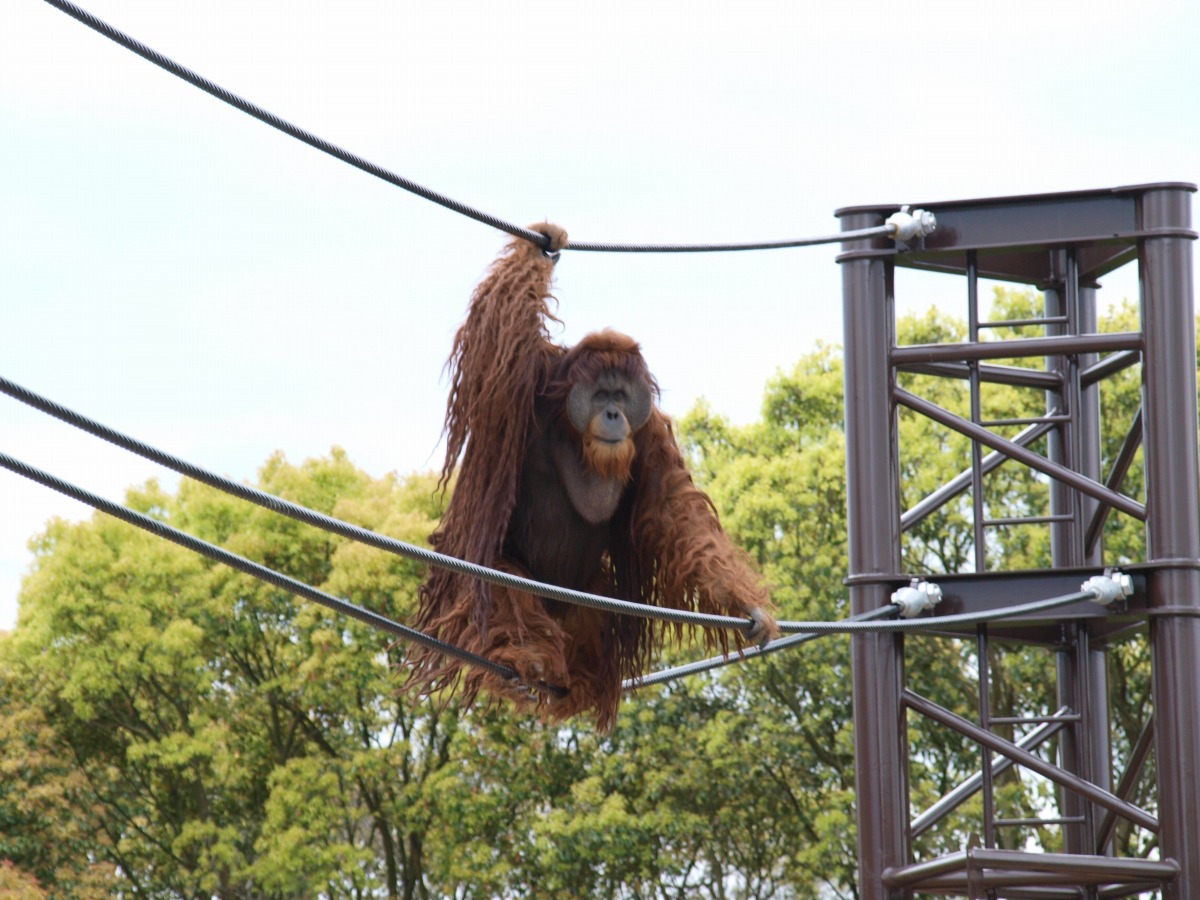 Tobe Zoological Park_4