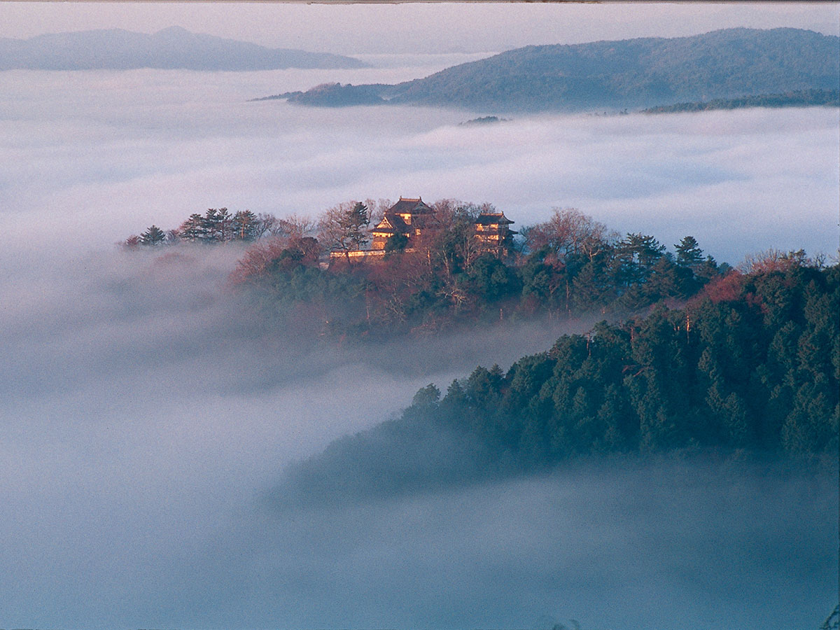 Bitchu Matsuyama Castle_1