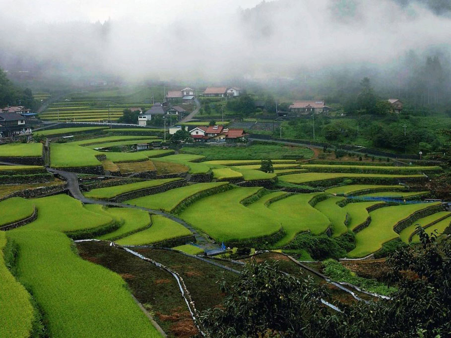 Ini Tanada_2