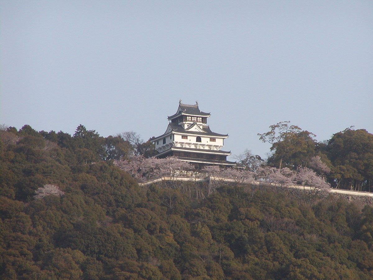 Iwakuni Castle_2