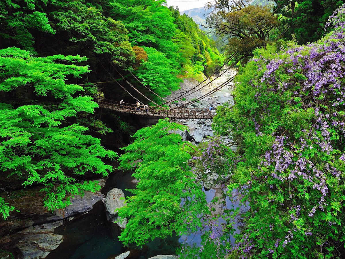 Vine Bridges of Iya Valley_2