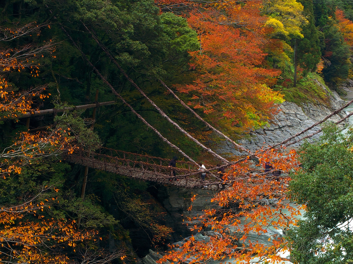 Vine Bridges of Iya Valley_3