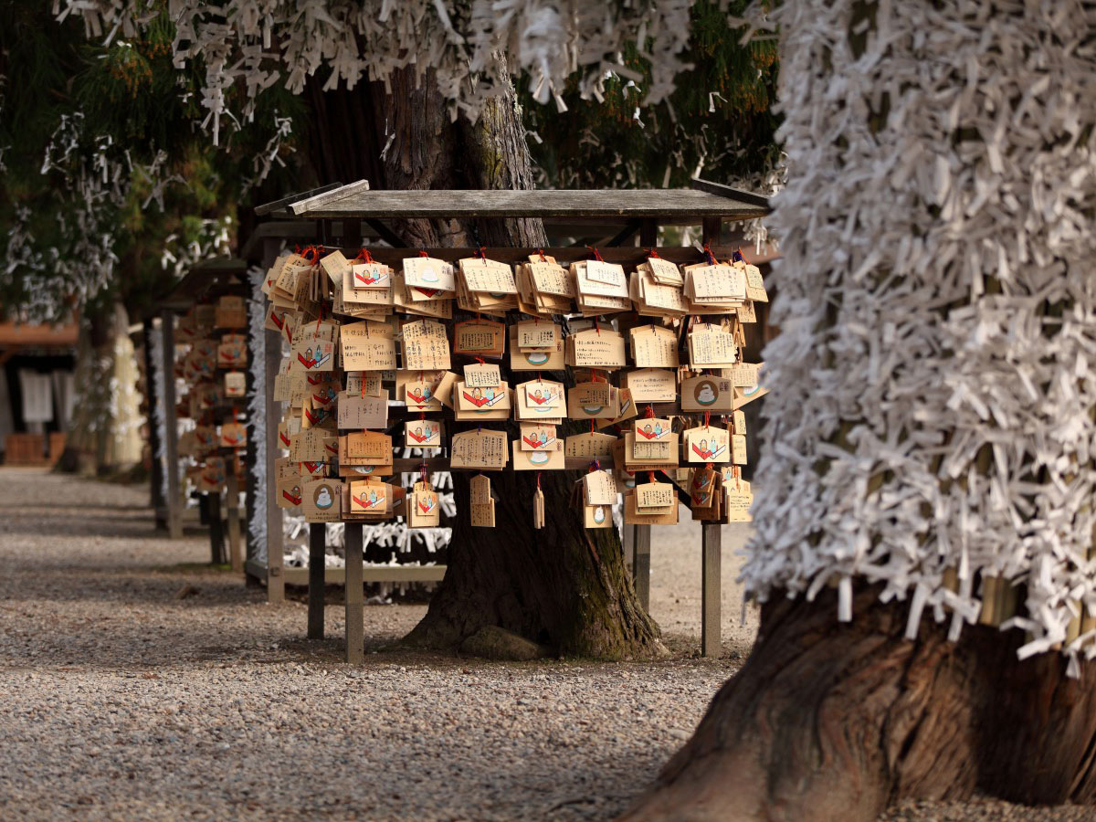 Izumo Taisha Grand Shrine_4