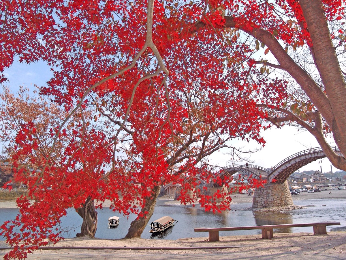 Kintaikyo Bridge_4
