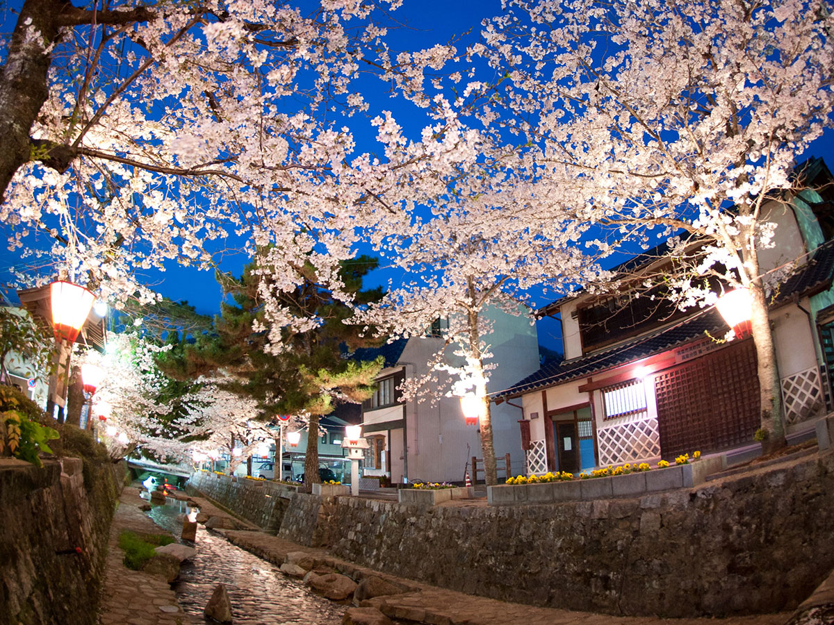 Koyagawa Bikan Historical Quarter_1