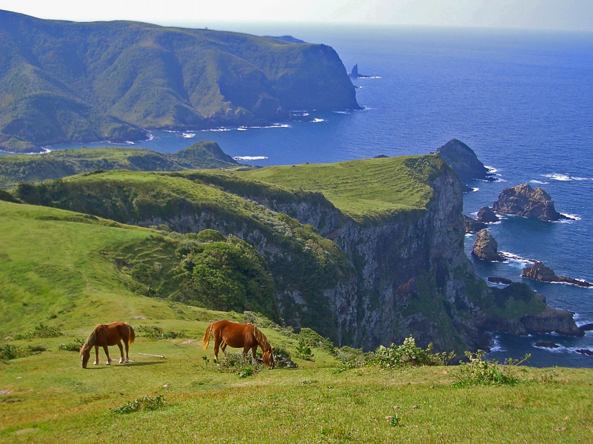 Oki Islands UNESCO Global Geopark (Kuniga Coast )_3