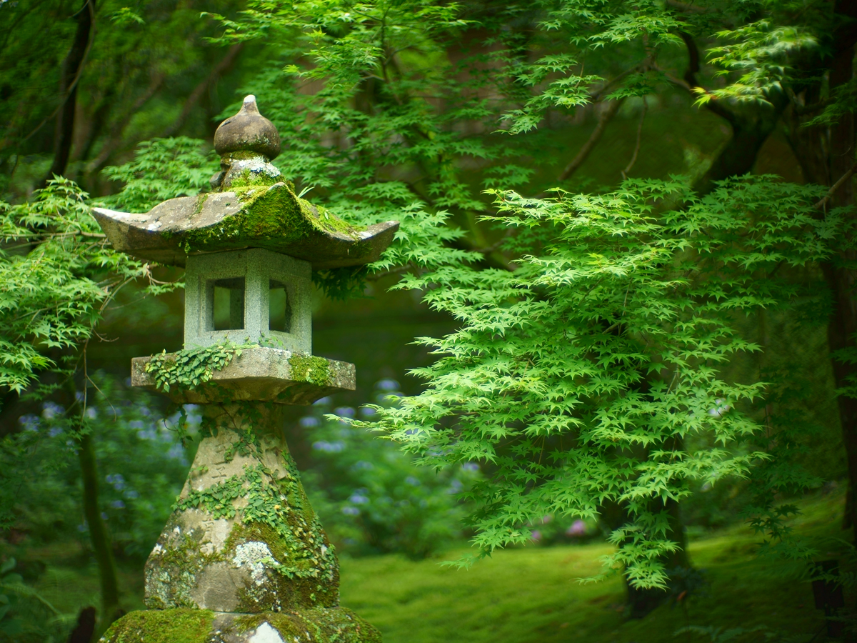 Chikurin-ji Temple_3