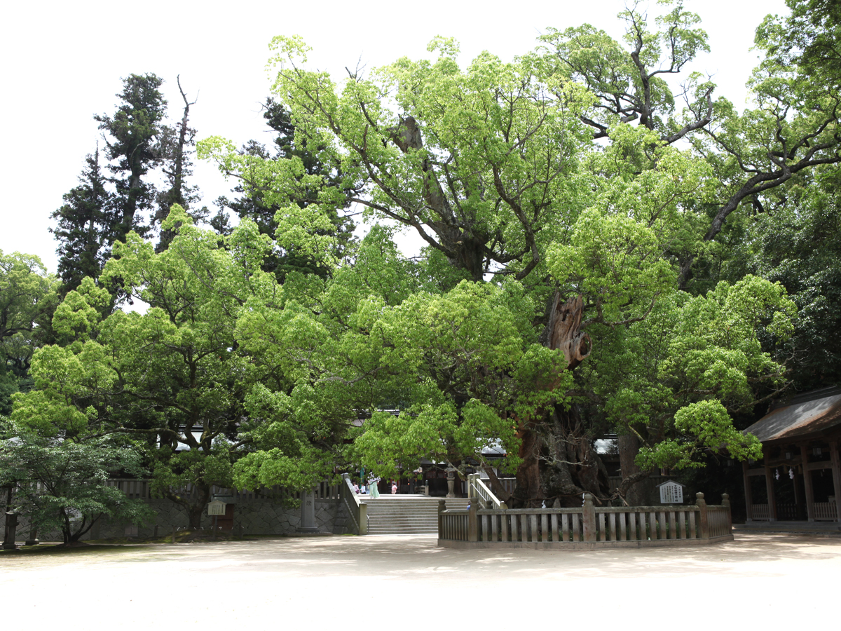 Oyamazumi Shrine_2