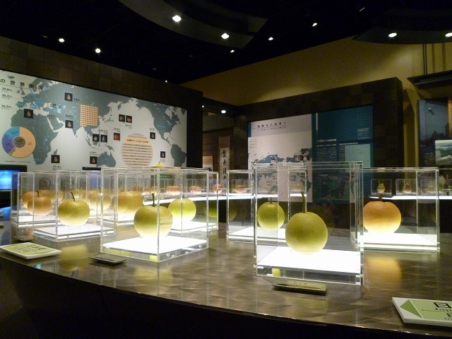 Tottori Nijisseiki Pear Museum Nashikkokan_3