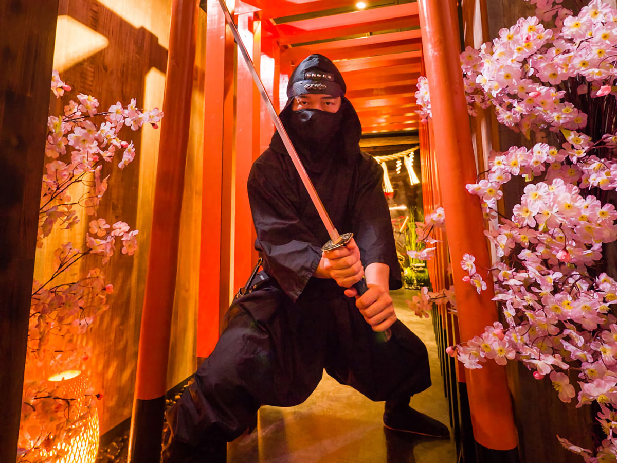 Ninja experience_4