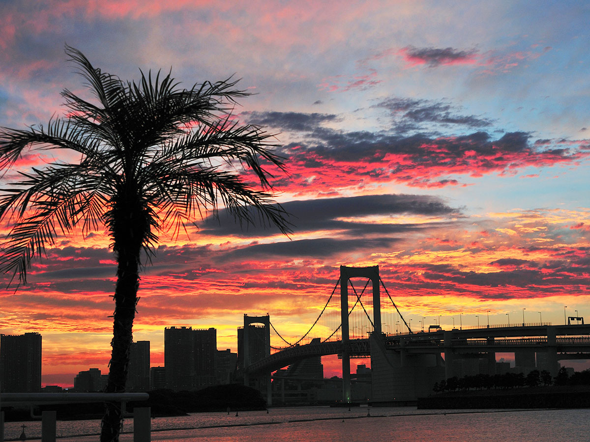 Odaiba Marine Park_2