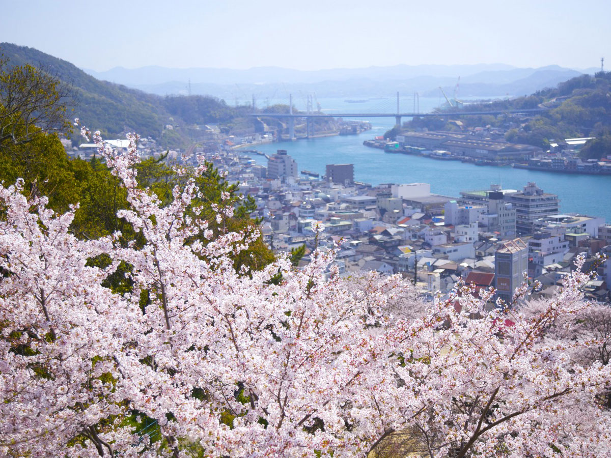 Shimanami Kaido Cycling_4