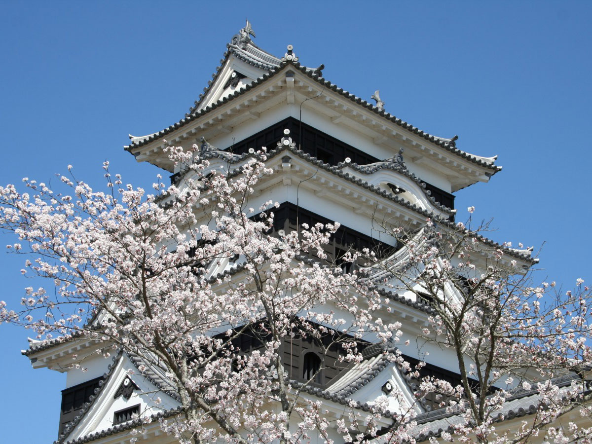 Ozu Castle_3