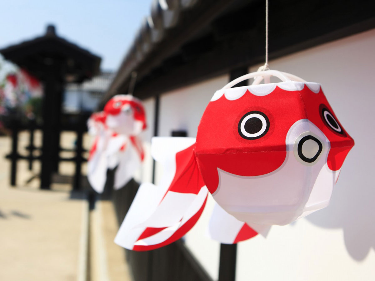 Yanai Nishigura/goldfish lantern experience_2
