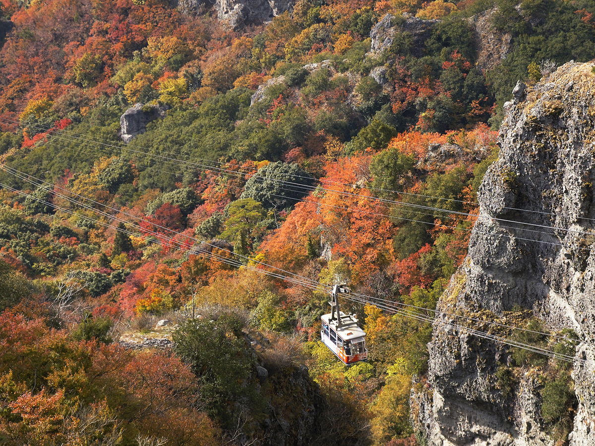 Shodoshima (Kankakei Gorge, Twenty-four Eyes Movie Village, Olive Park)_3