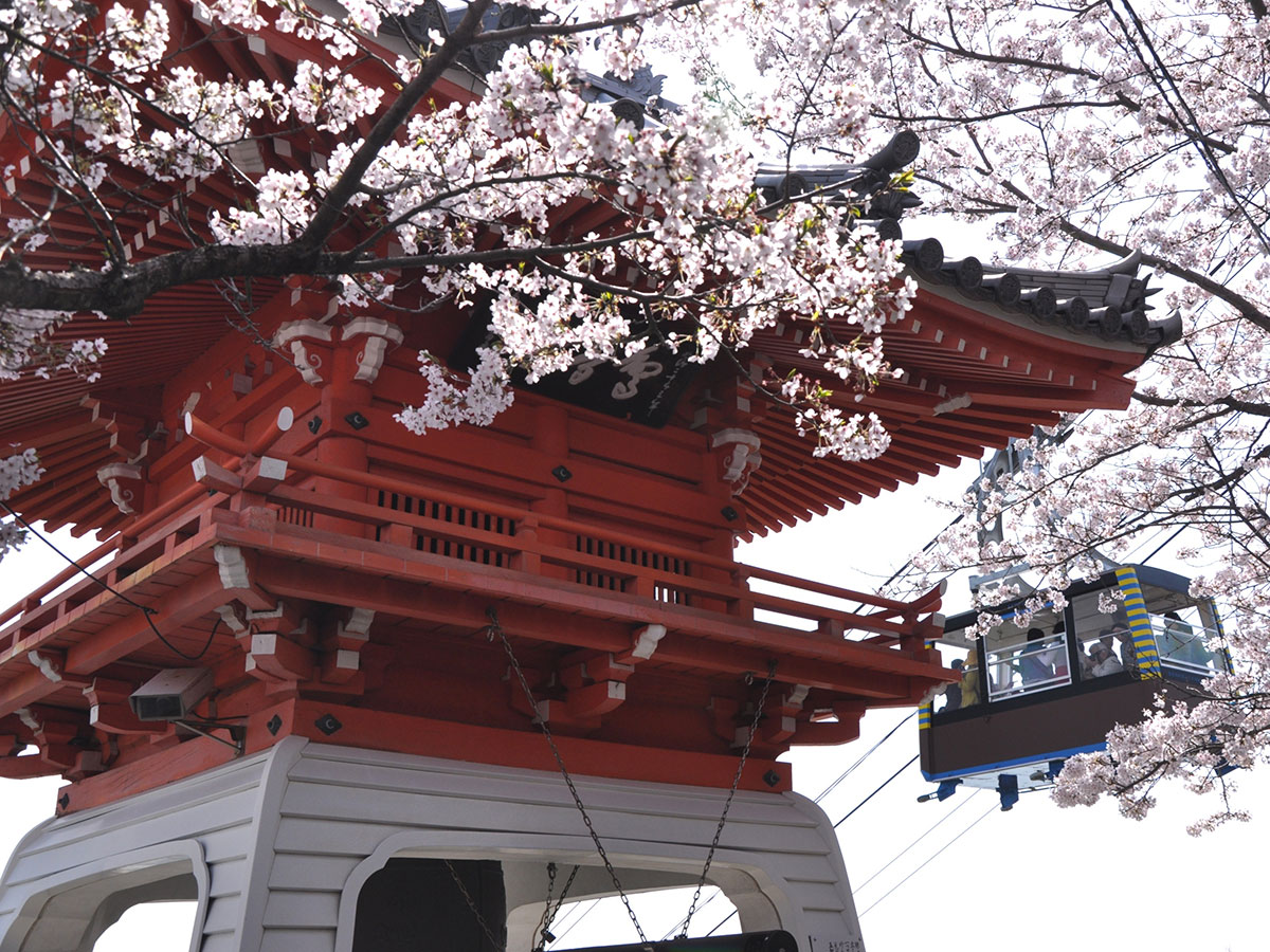Senkoji Park_1
