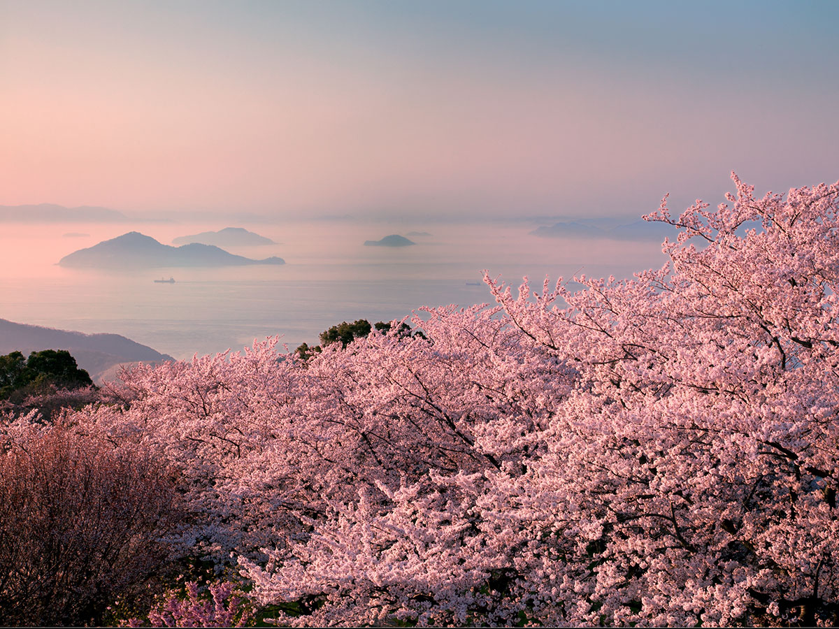 Mt. Shiude_1