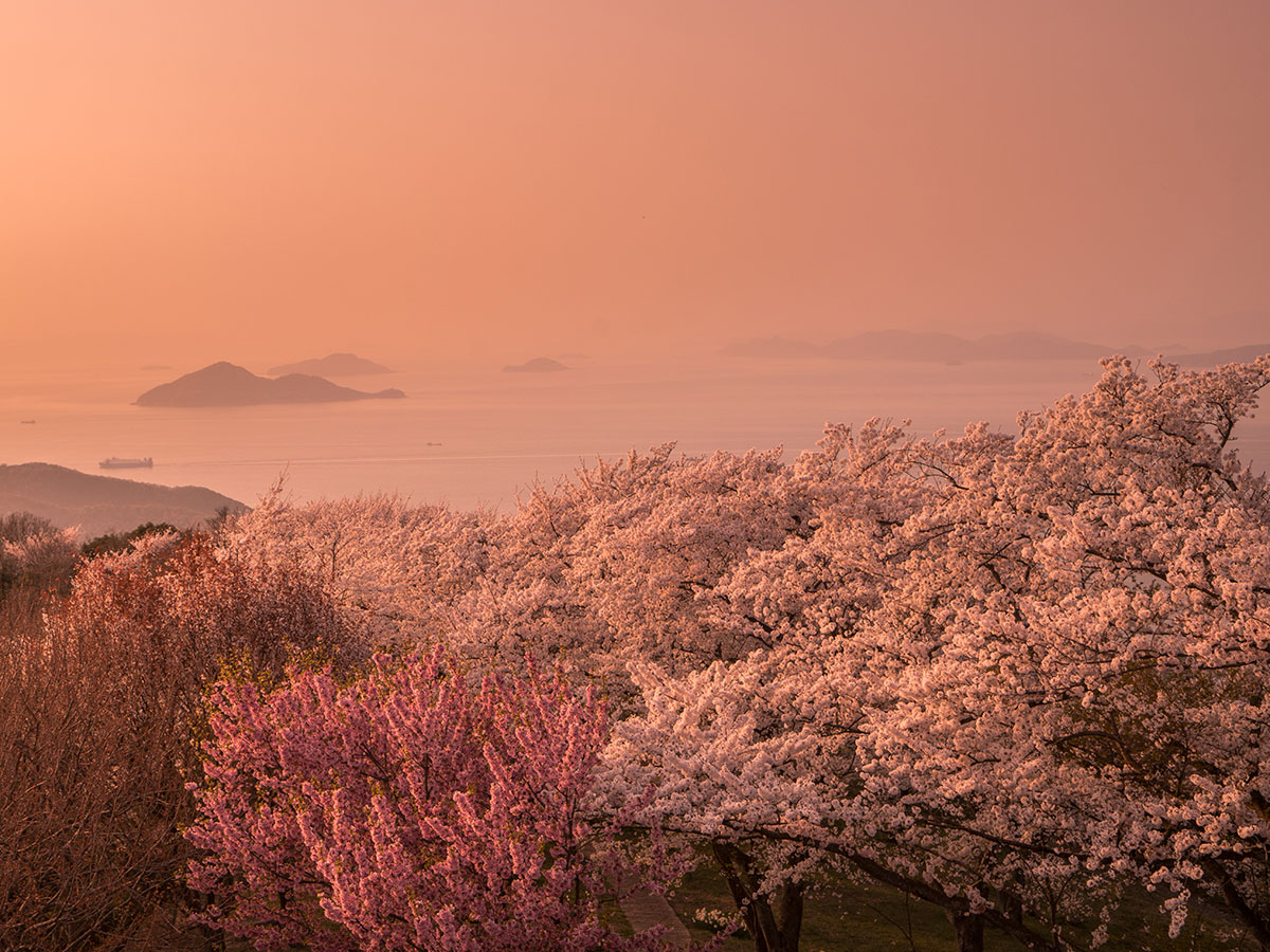 Mt. Shiude_3