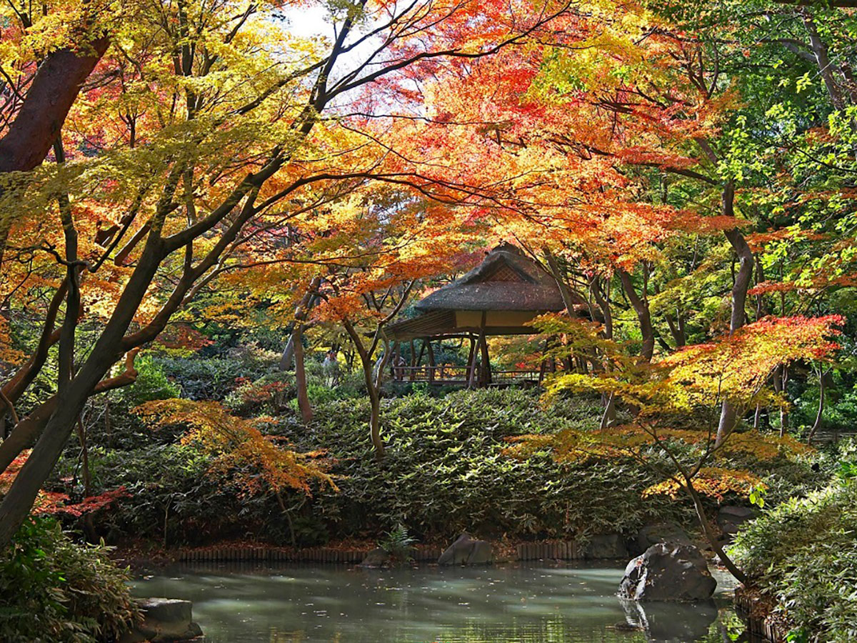 Rikugien Gardens_1