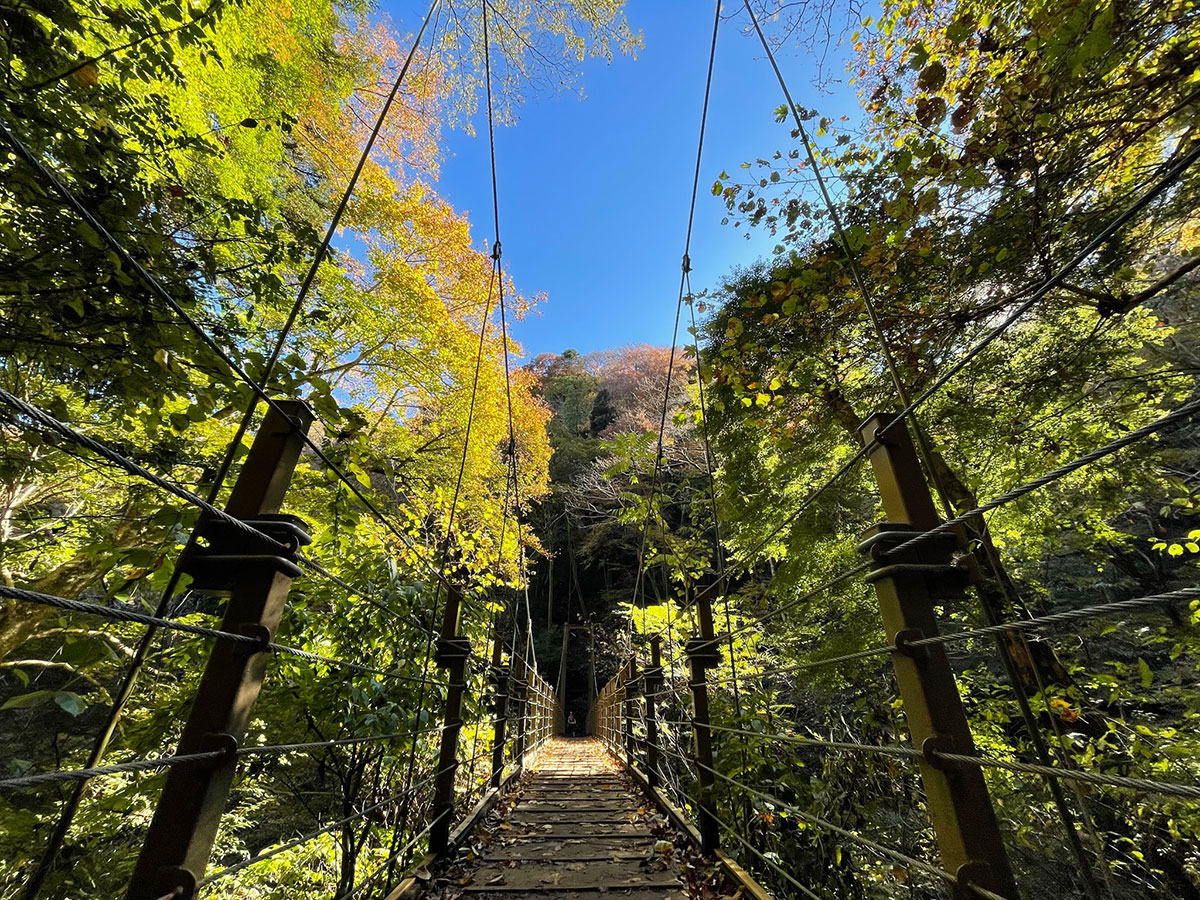 Mt. Takao_3