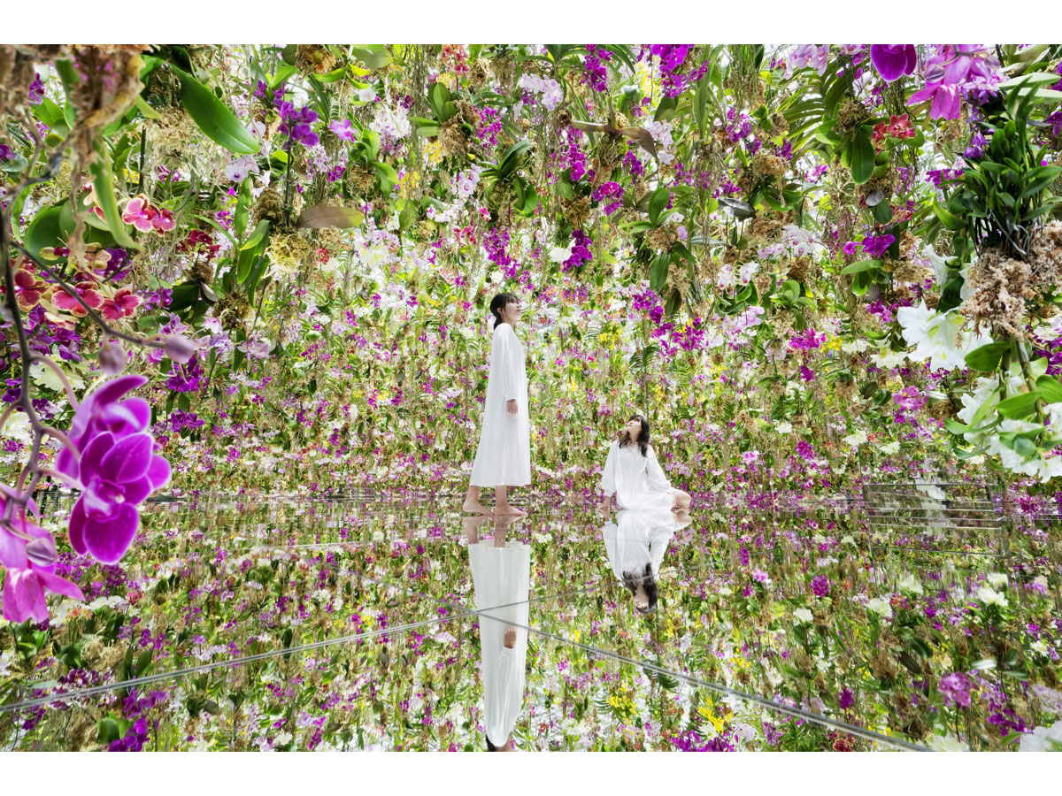 teamLab Planets TOKYO_1