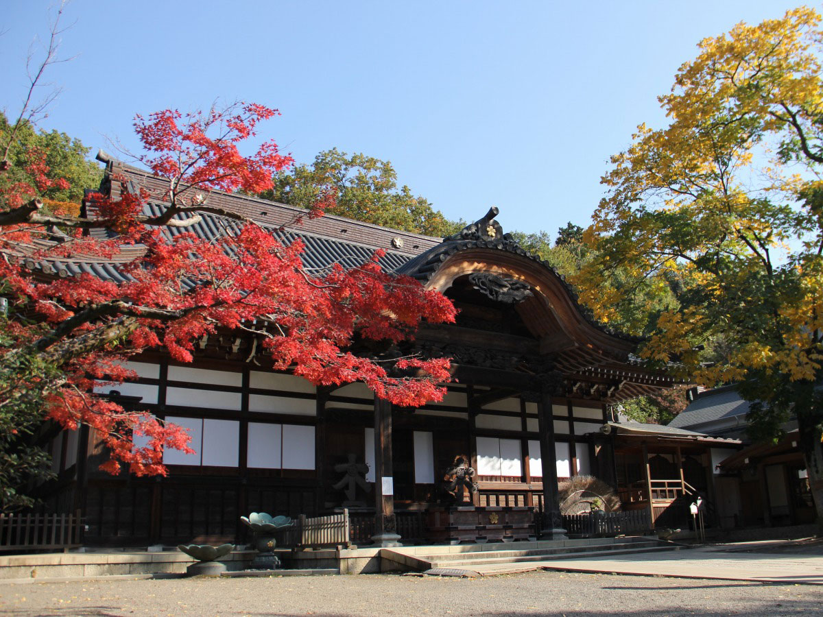 Jindai-ji Temple_3