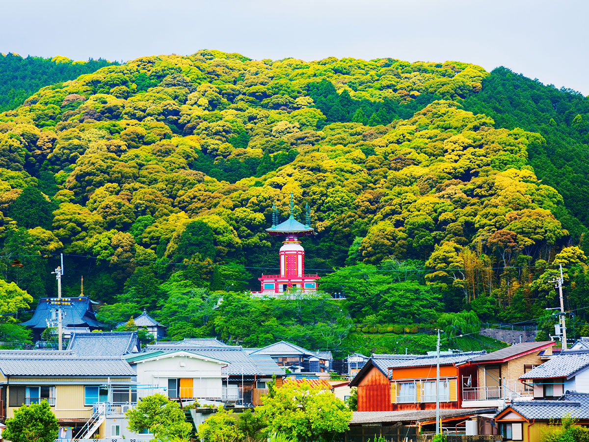 Yakuoji Temple_3