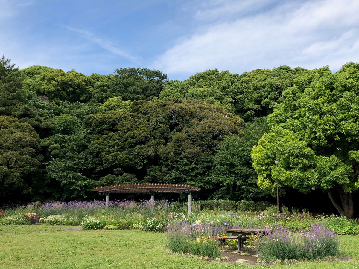 Yoyogi Park_1