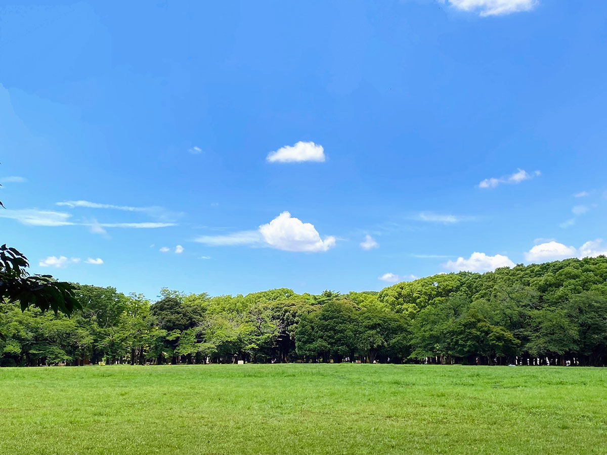 Yoyogi Park_2