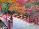 Miyajima_3