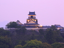 Kochi Castle_4