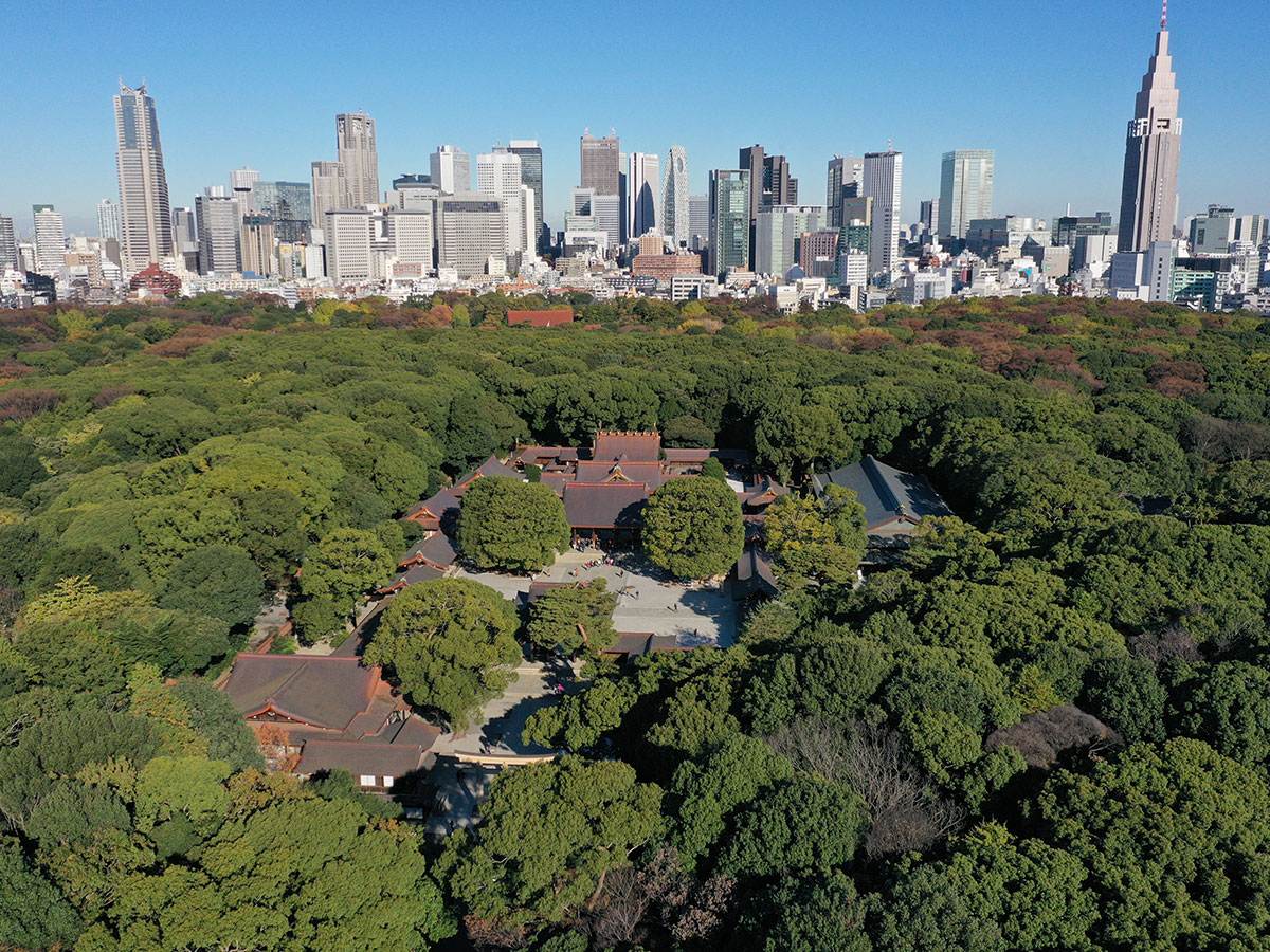 Meiji Jingu_4