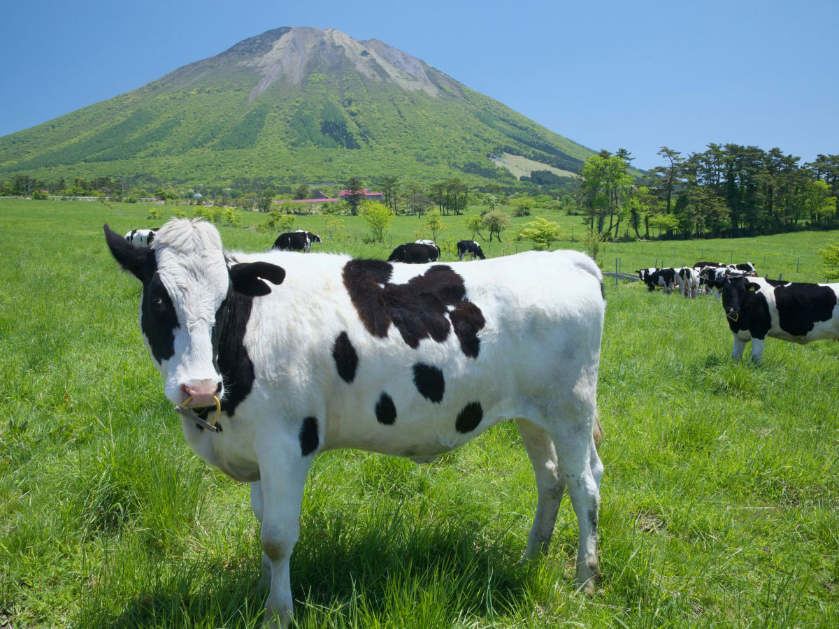 Mt. Daisen_4