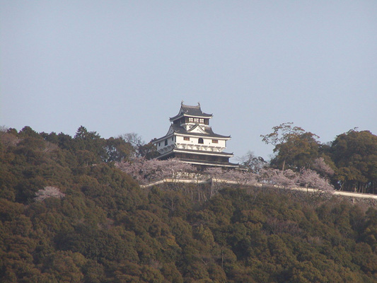 Iwakuni Castle_2
