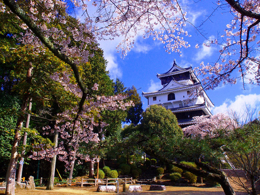 Iwakuni Castle_3