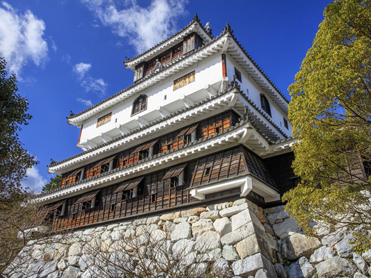 Iwakuni Castle_4