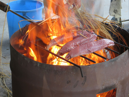 Katsuo no tataki (seared bonito) experience_1