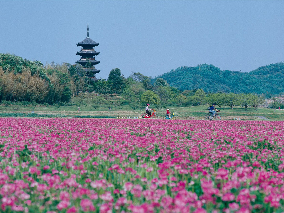 Kibiji Cycling Course_2