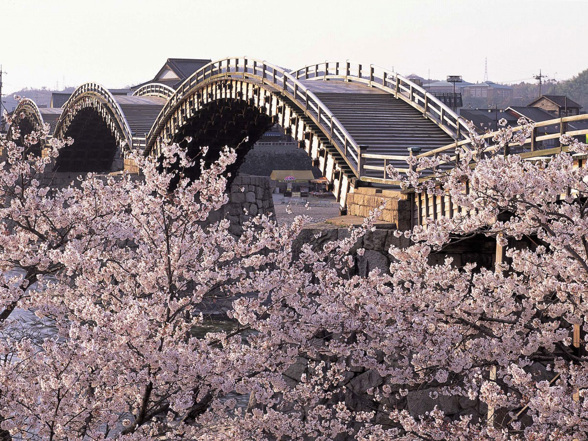 Kintaikyo Bridge_2