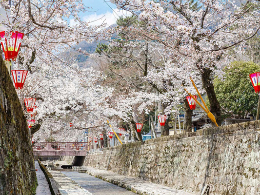 Koyagawa Bikan Historical Quarter_4