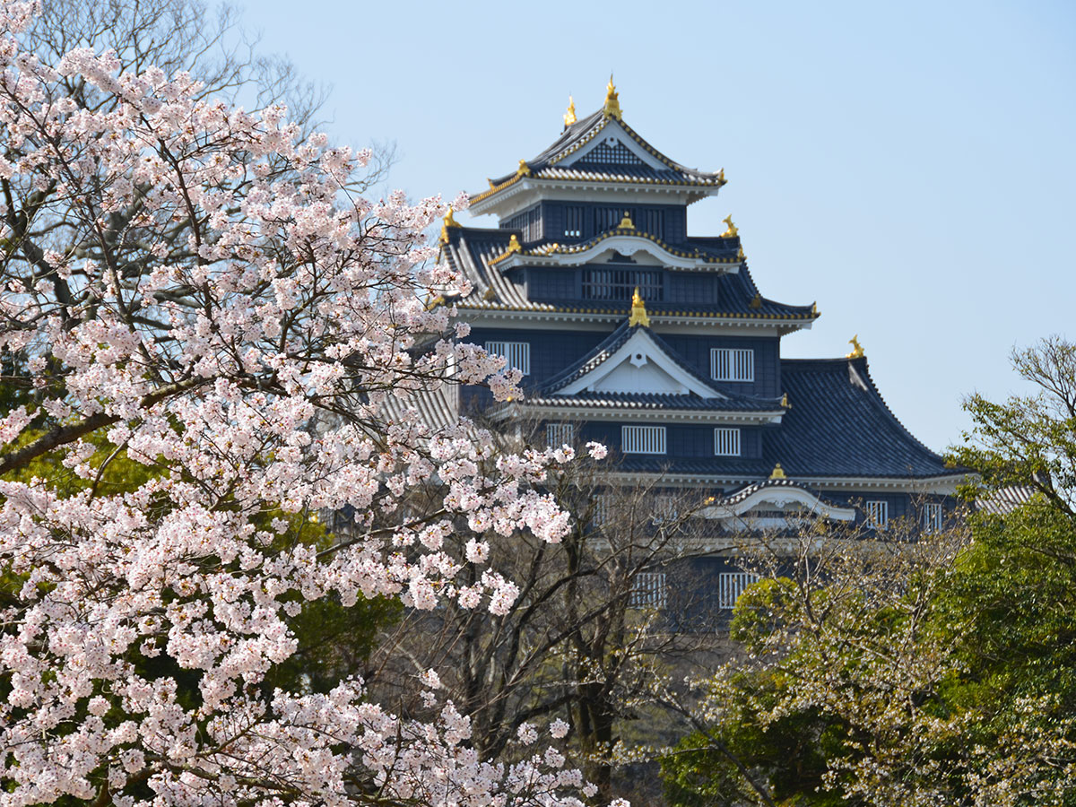 Okayama Korakuen Garden and Okayama Castle_2