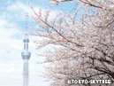 TOKYO SKYTREE_4