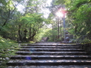 Chikurin-ji Temple_2