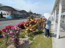 Yamaguchi Ube Airport_4