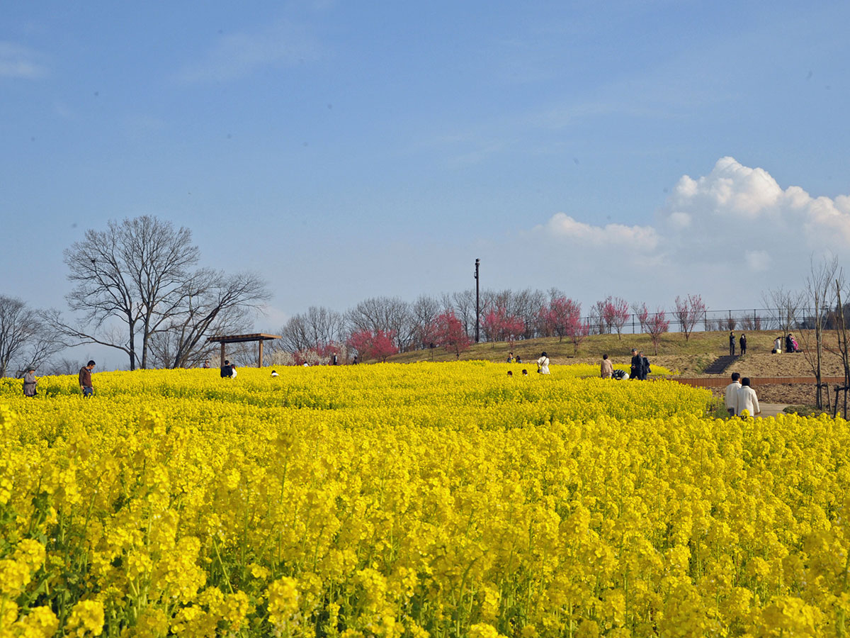 Sanuki Manno Park_2